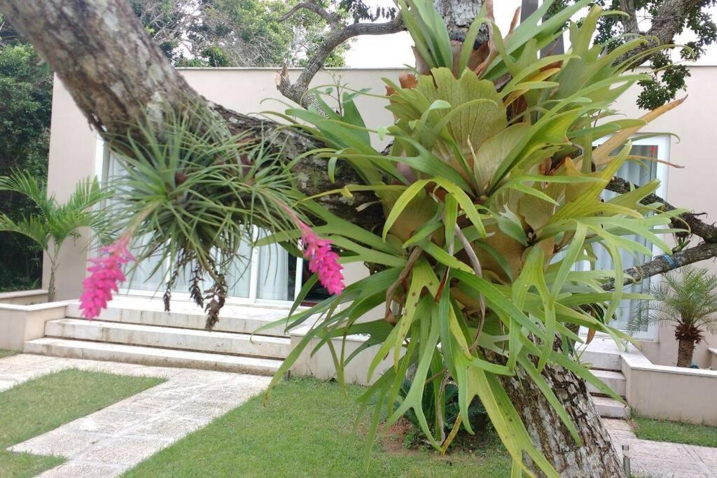 Villa Buzios Requinte & Sofisticacao Exterior foto